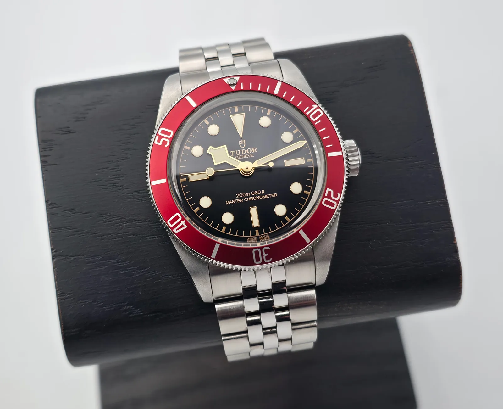 Tudor Black Bay