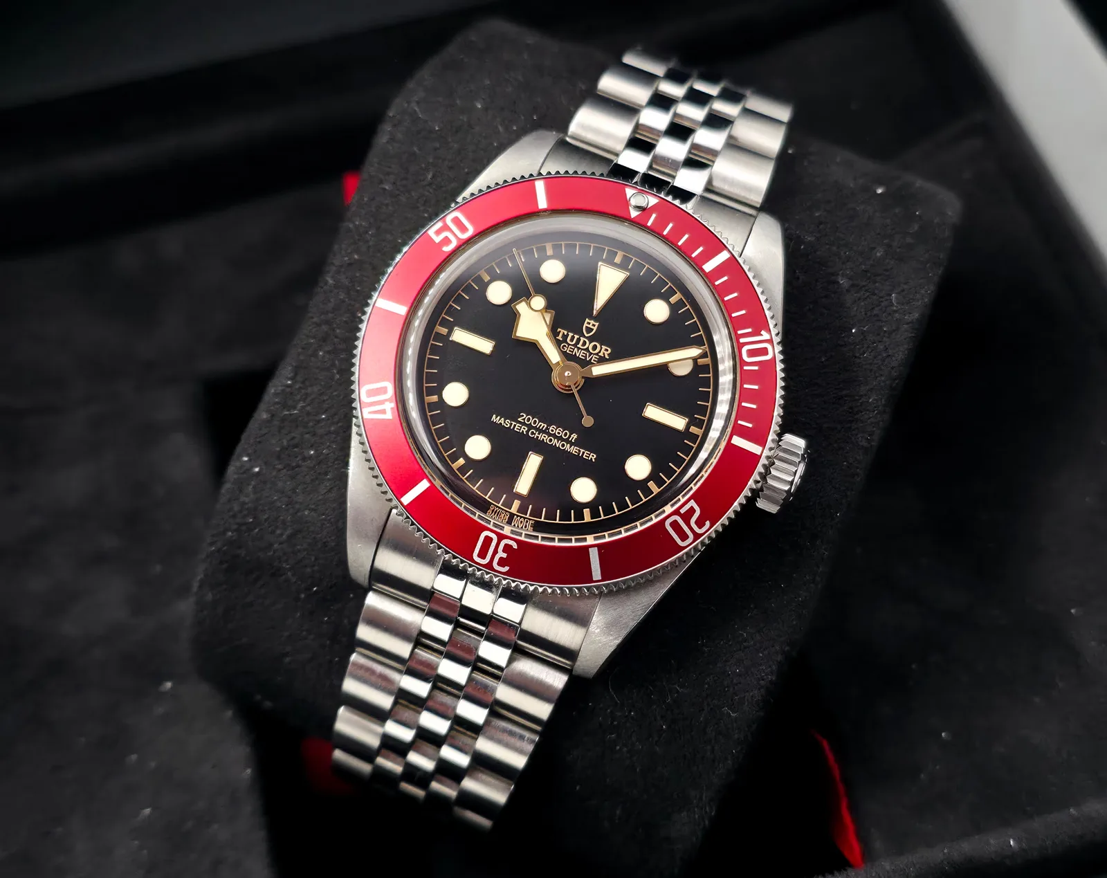 Tudor Black Bay