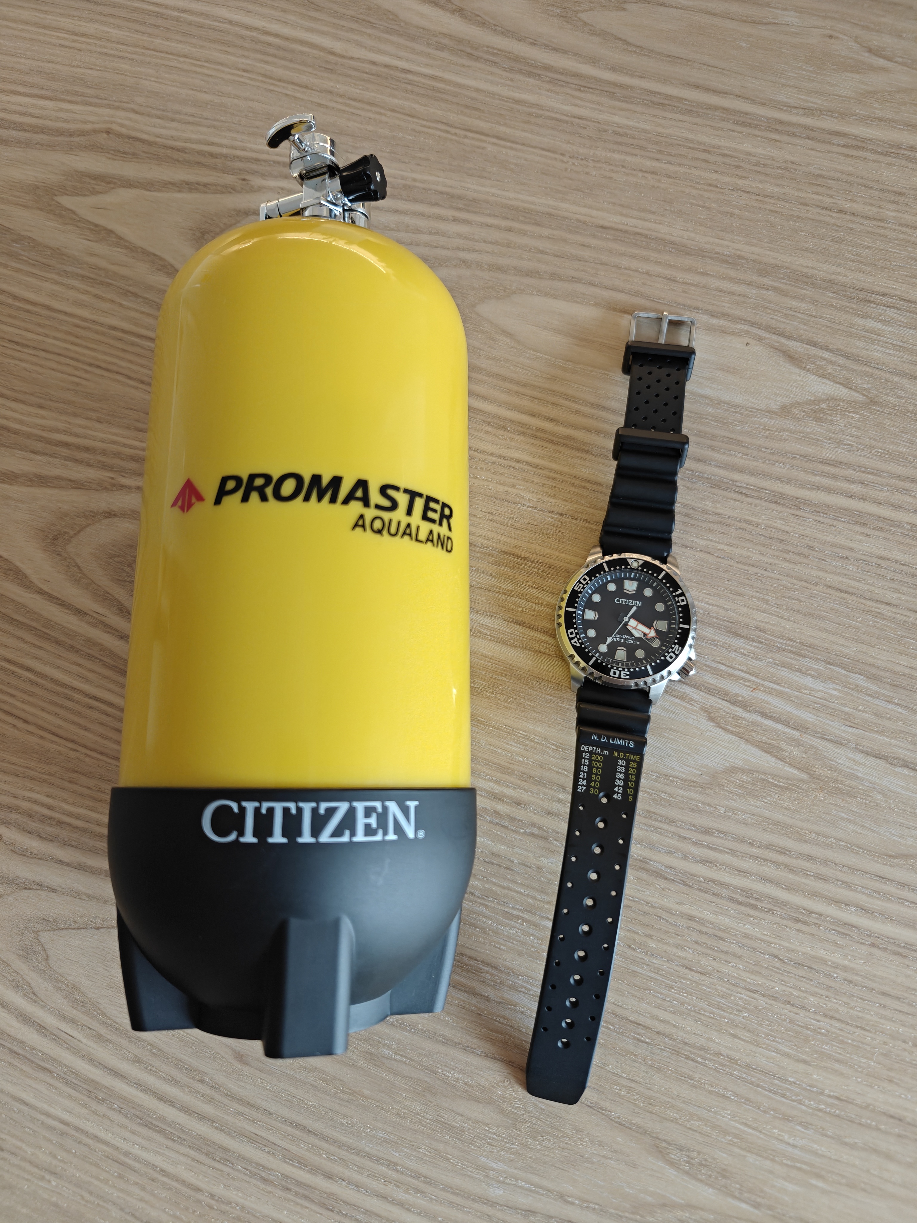 Citizen Promaster