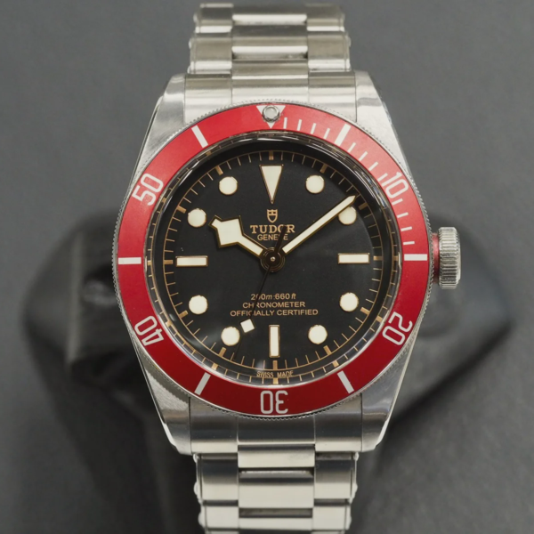 Tudor Black Bay