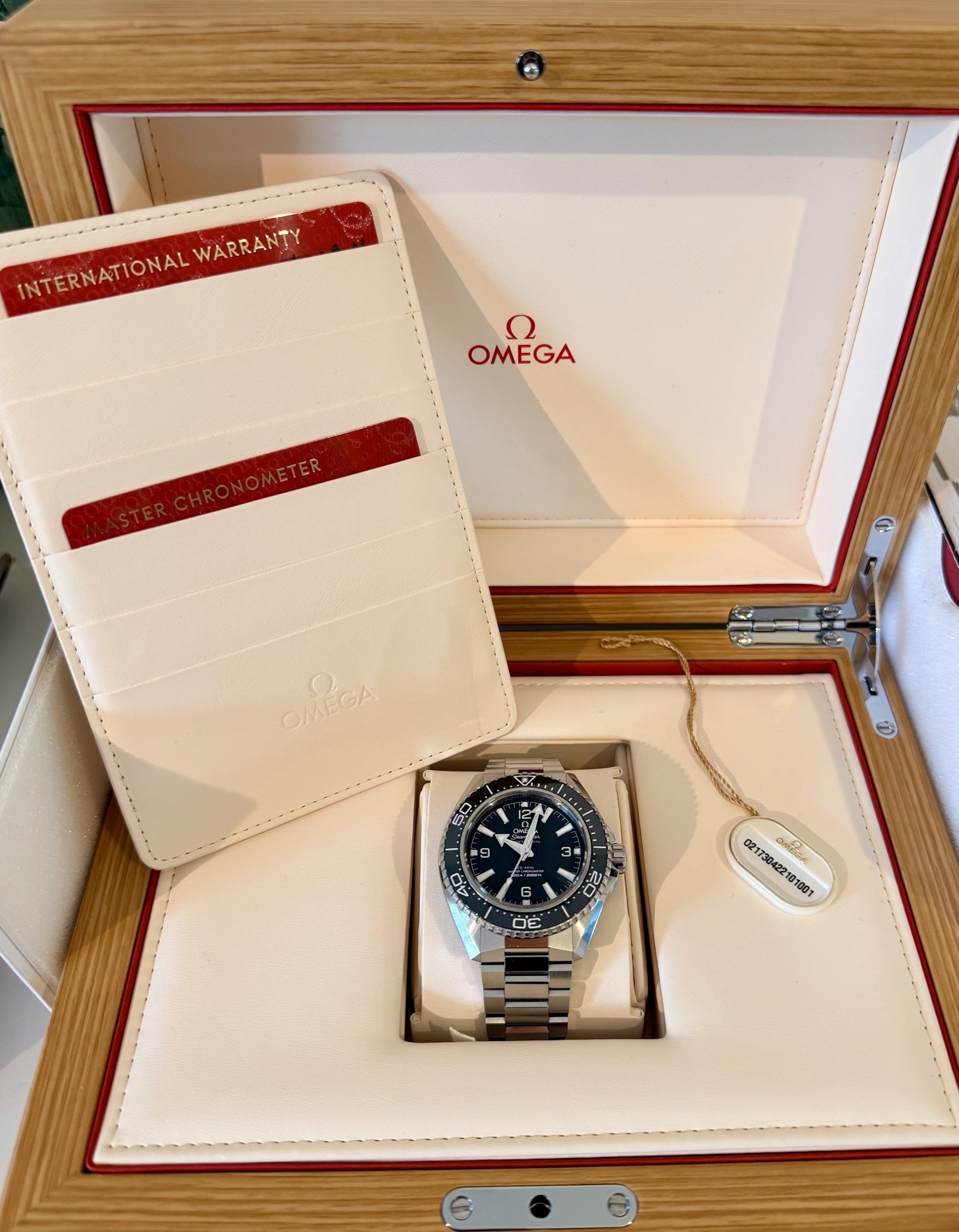 Omega Seamaster Planet Ocean