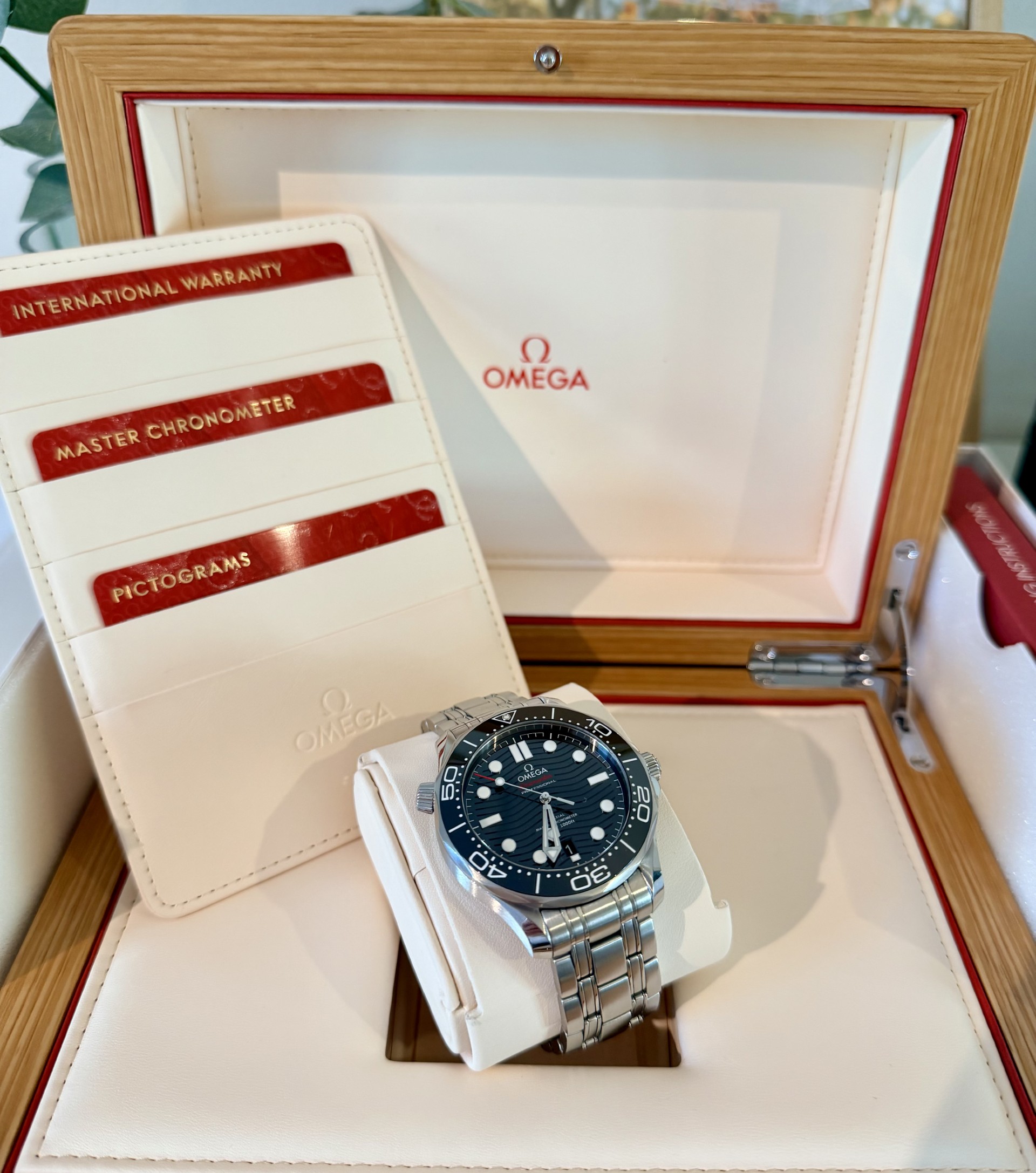 Omega Seamaster Diver 300M