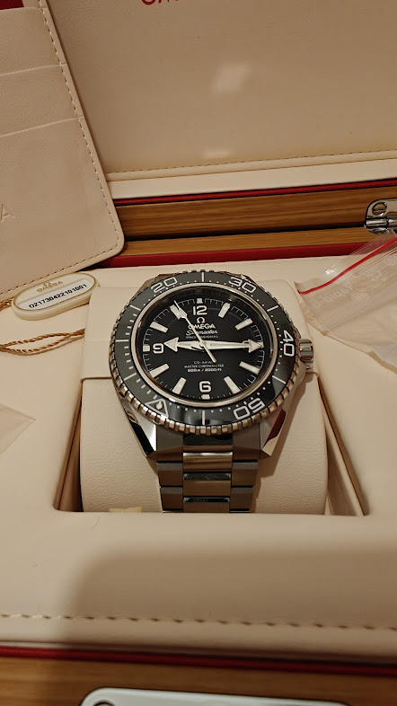 Omega Seamaster Planet Ocean new model 600m