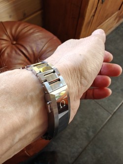 Omega Seamaster Planet Ocean new model 600m