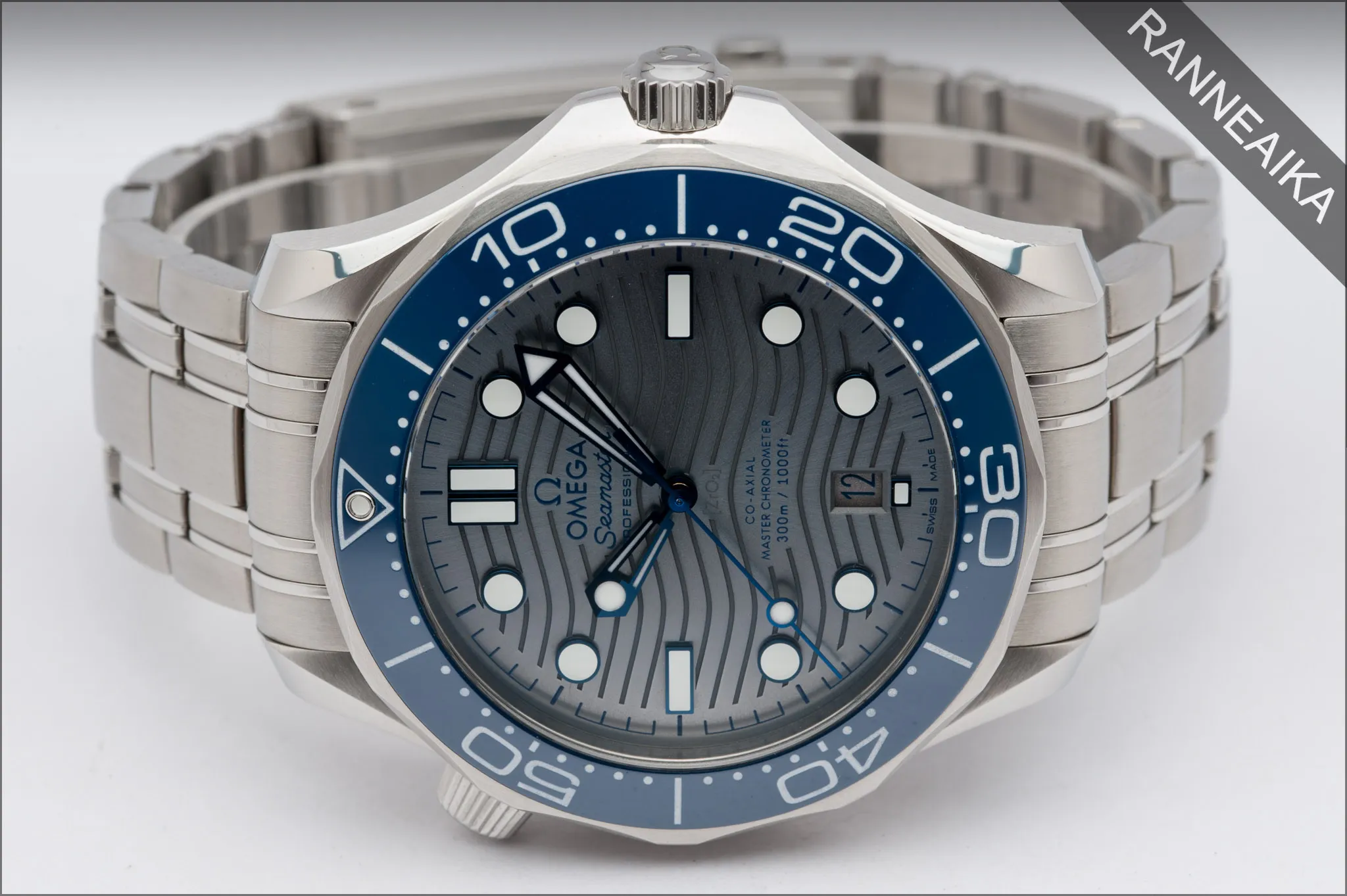 Omega Seamaster Professional