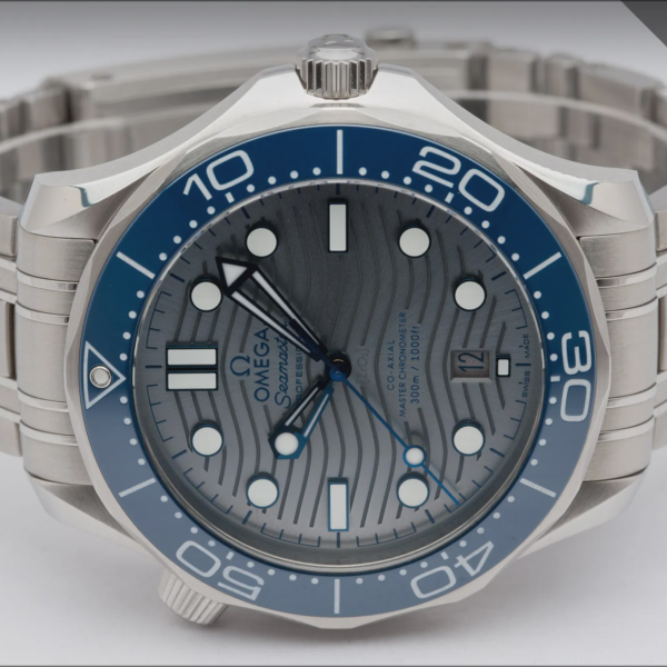 Omega Seamaster Professional