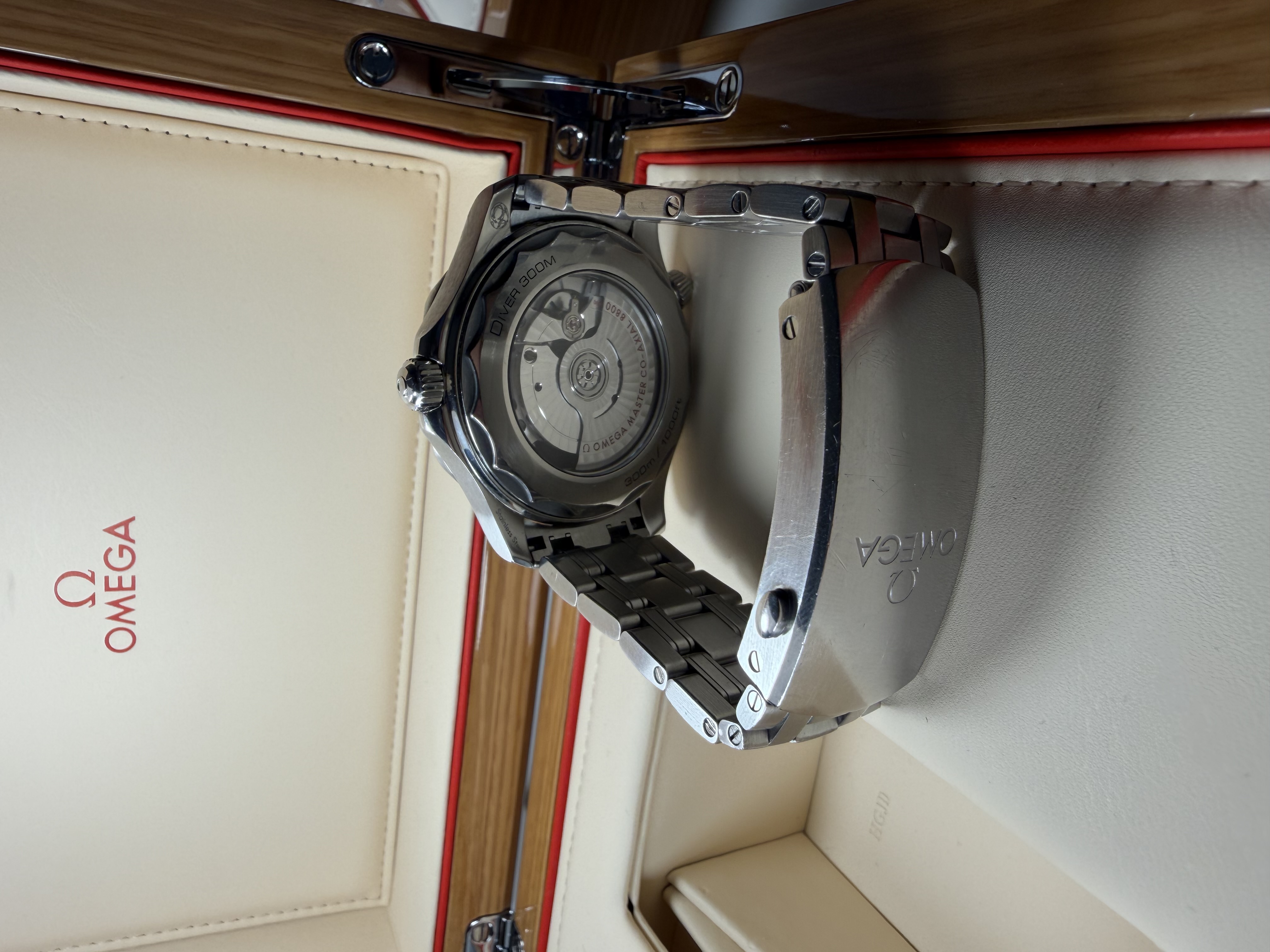 Omega Seamaster Diver