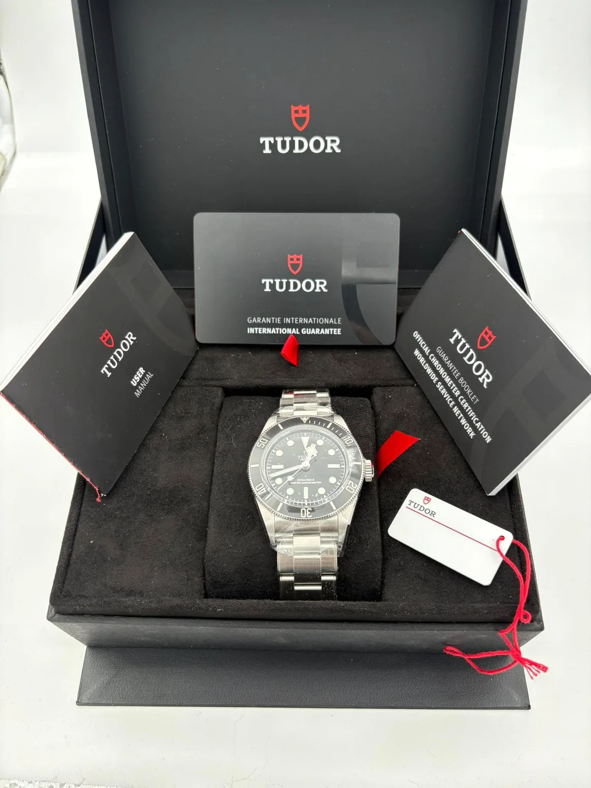 Tudor Black Bay Monochrome