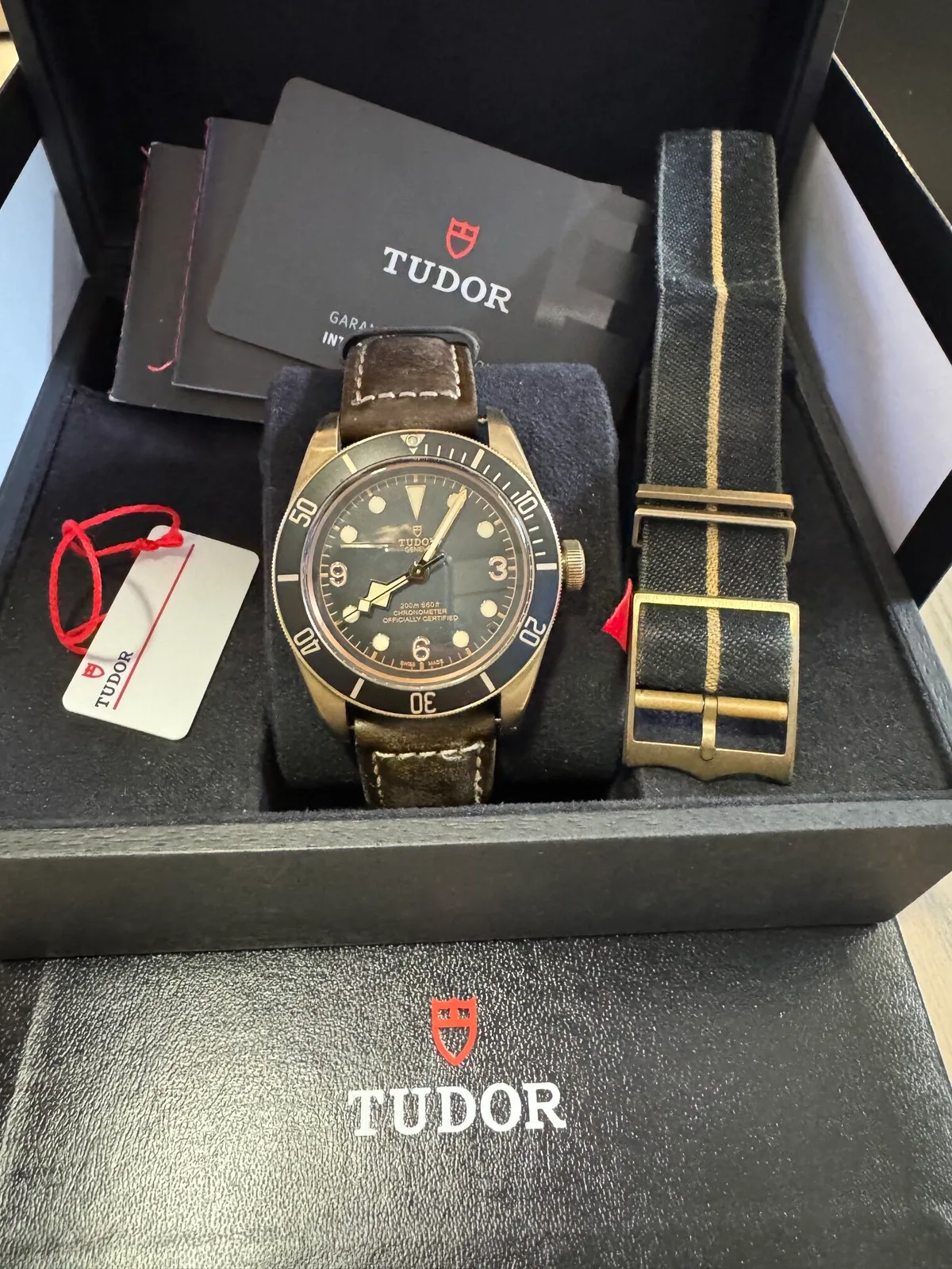 Tudor Black Bay
