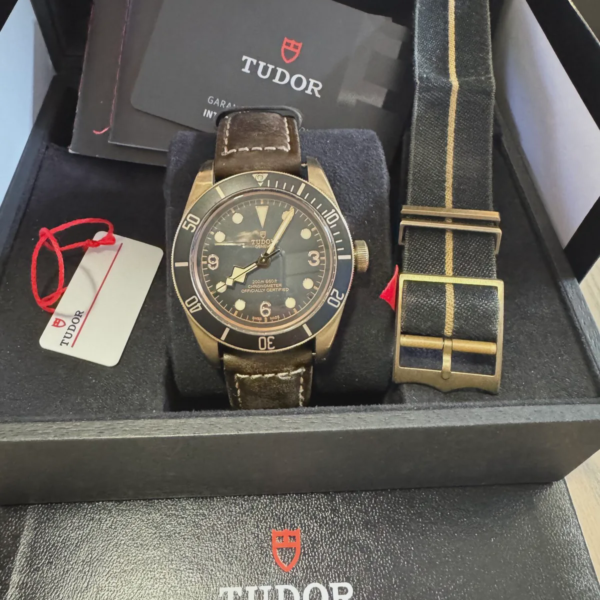 Tudor Black Bay