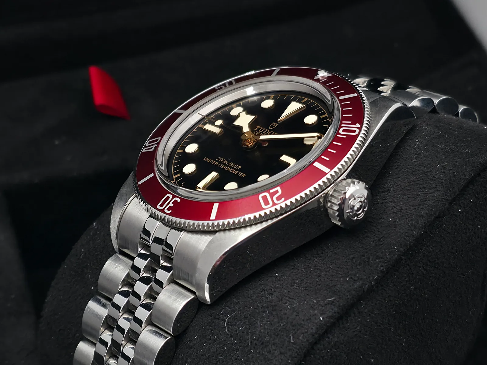 Tudor Black Bay