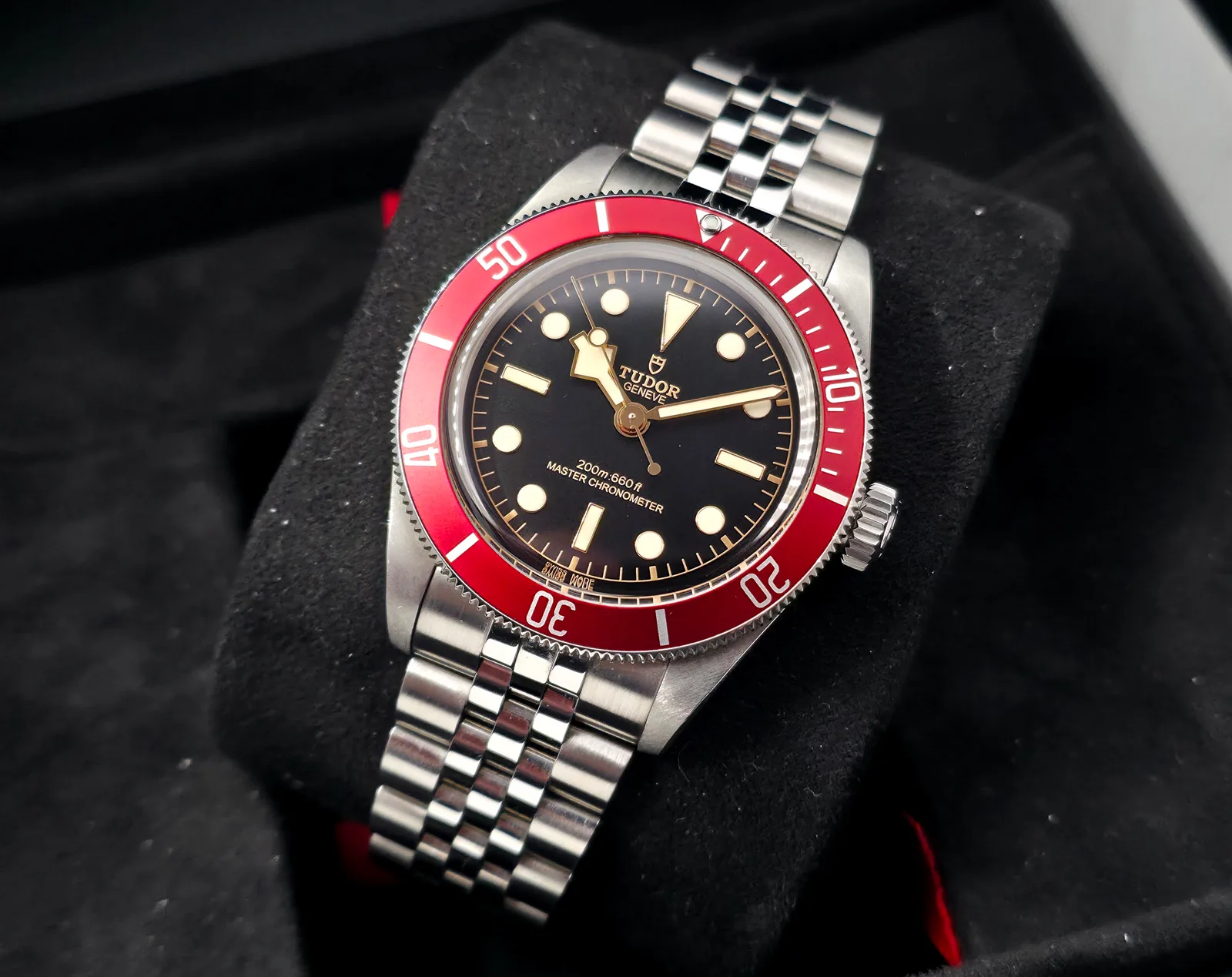Tudor Black Bay