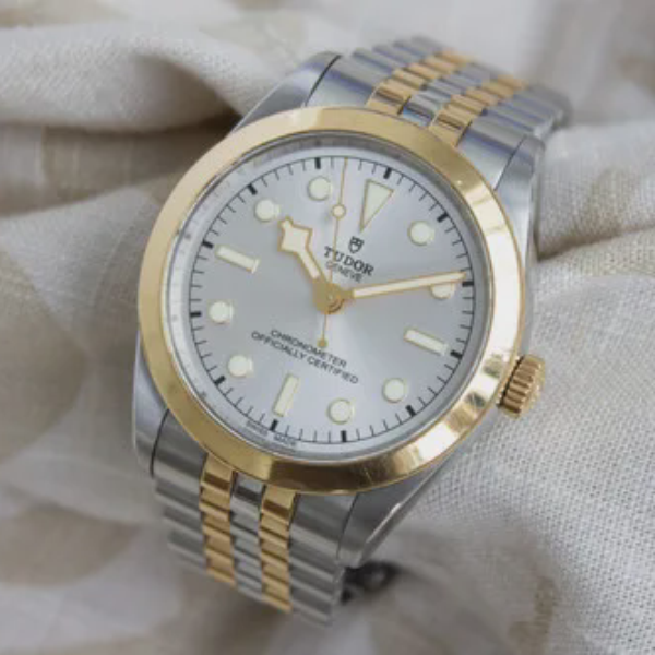 Tudor Black Bay 39 S&G