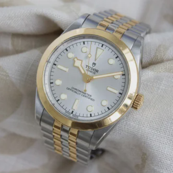 Tudor Black Bay 39 S&G
