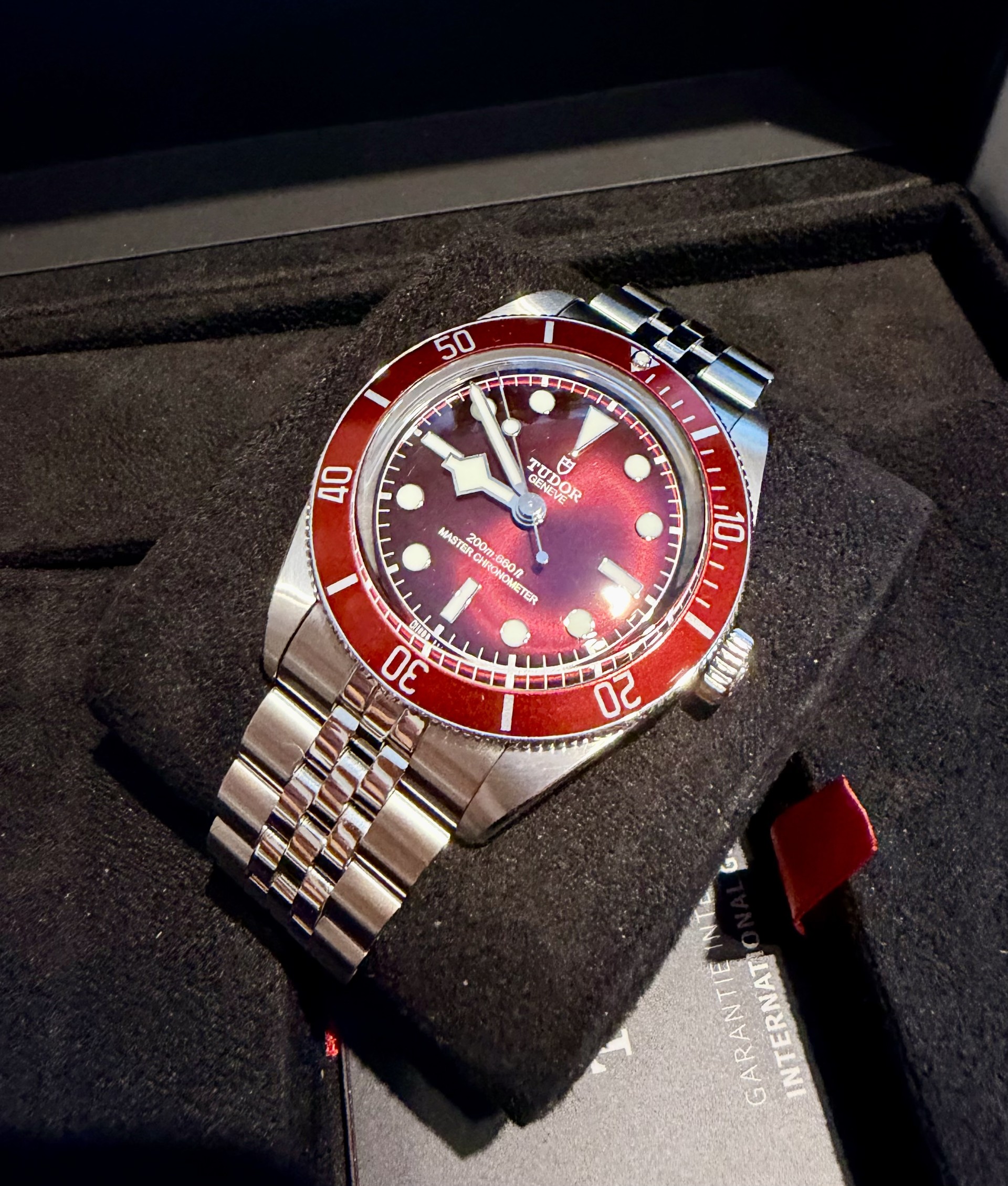 Tudor Black Bay 58 Burgundy