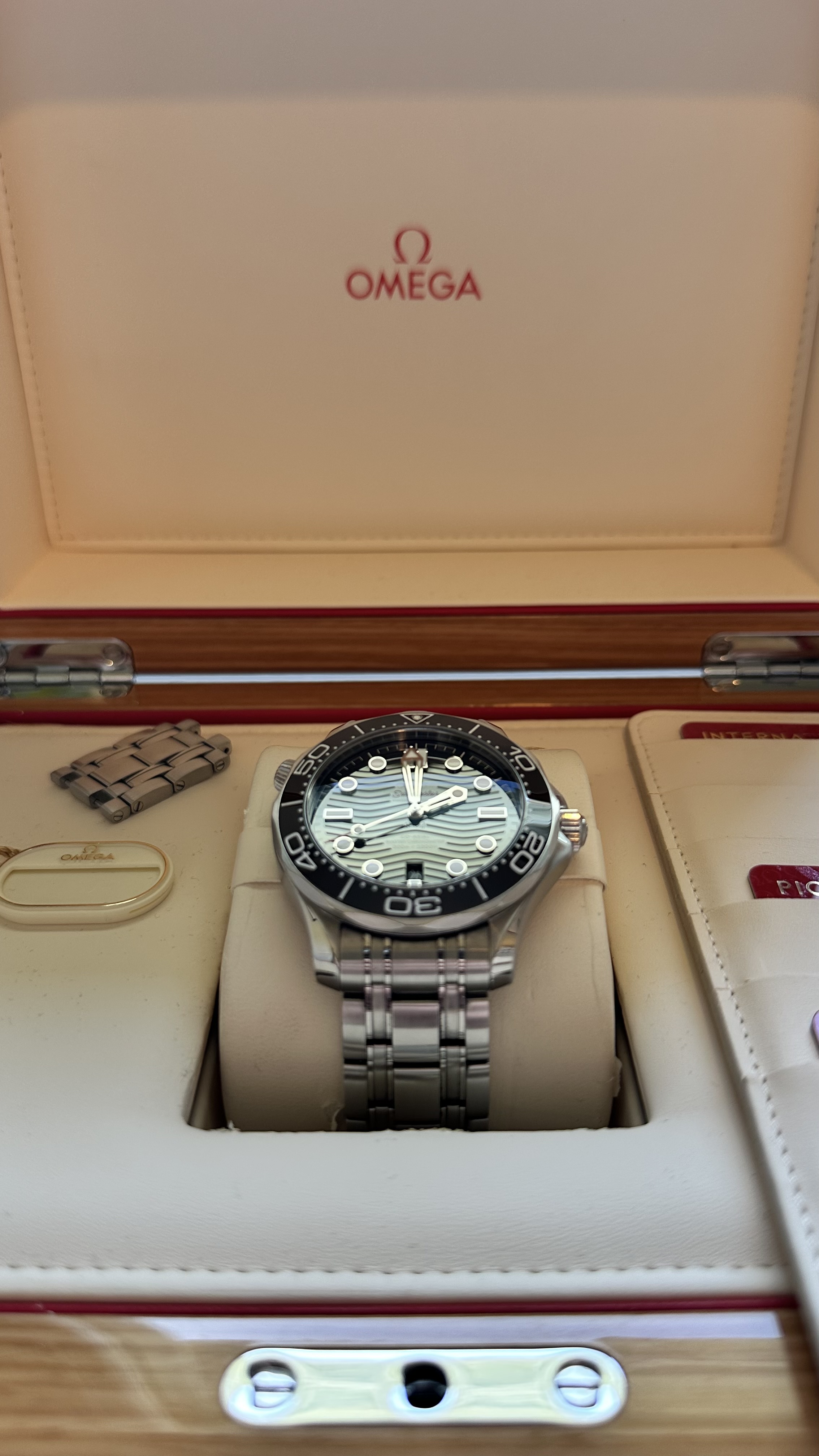 Omega Seamaster Diver 300M