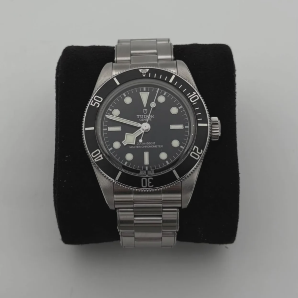Tudor Black Bay Monochrome