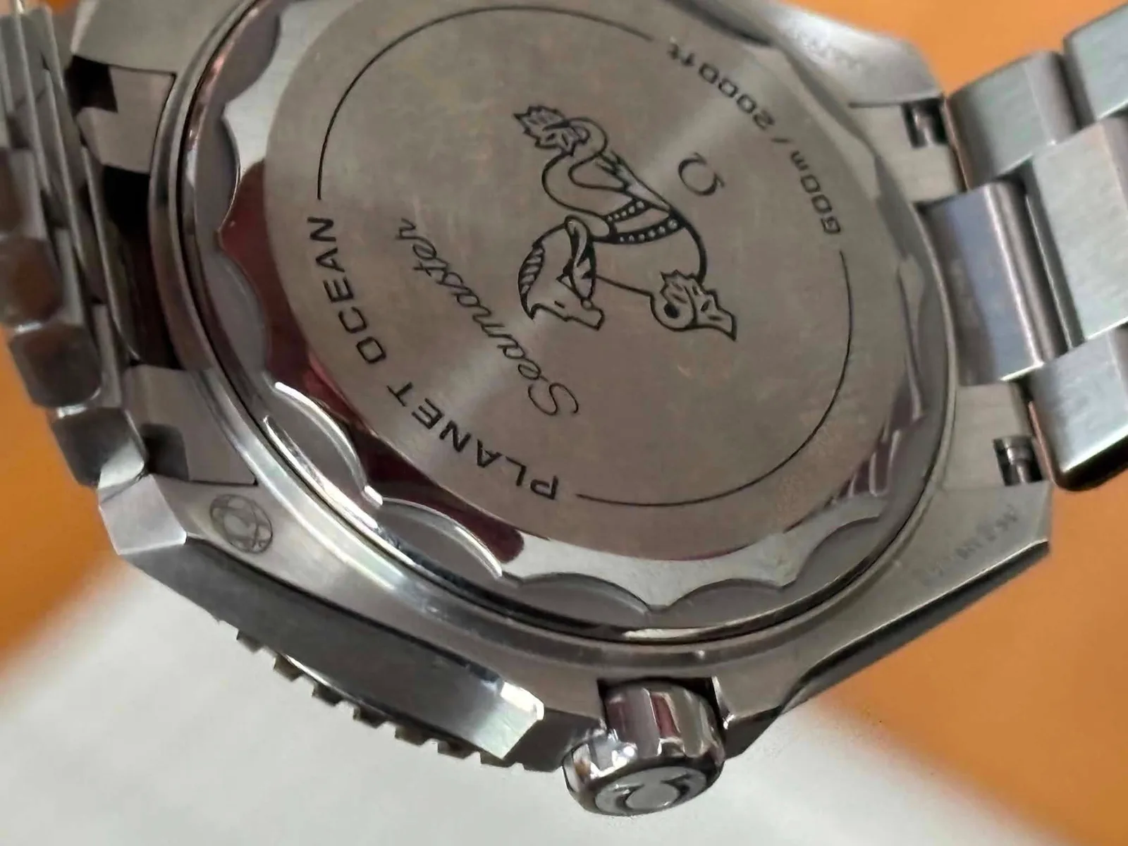 Omega Seamaster Planet Ocean 600m