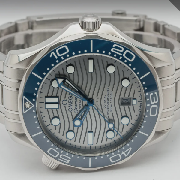 OMEGA Seamaster Professional 42mm Grey 210.30.42.20.06.001