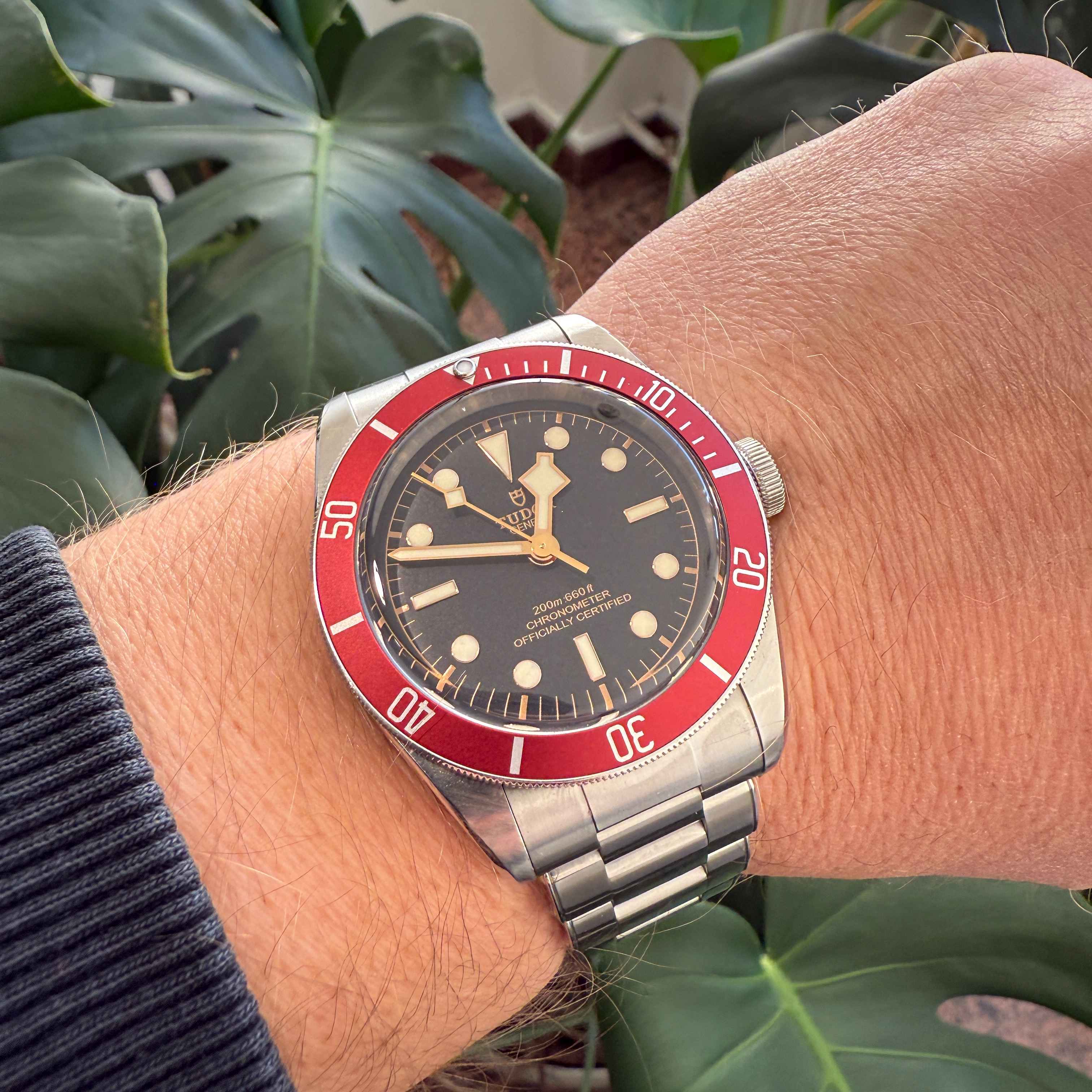 Tudor Heritage Black Bay Red