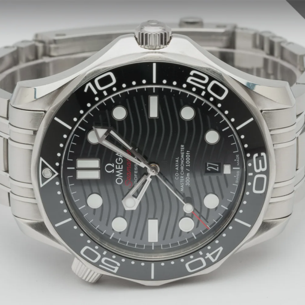 OMEGA Seamaster Professional 42mm Black 210.30.42.20.01.001